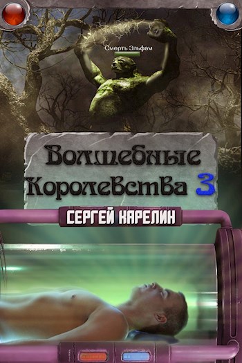 Волшебные Королевства 3