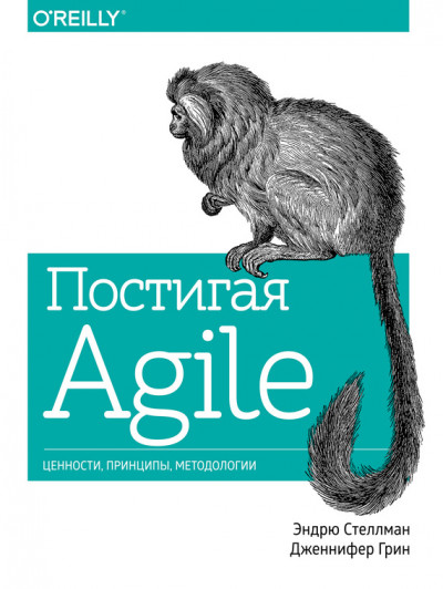 Постигая Agile