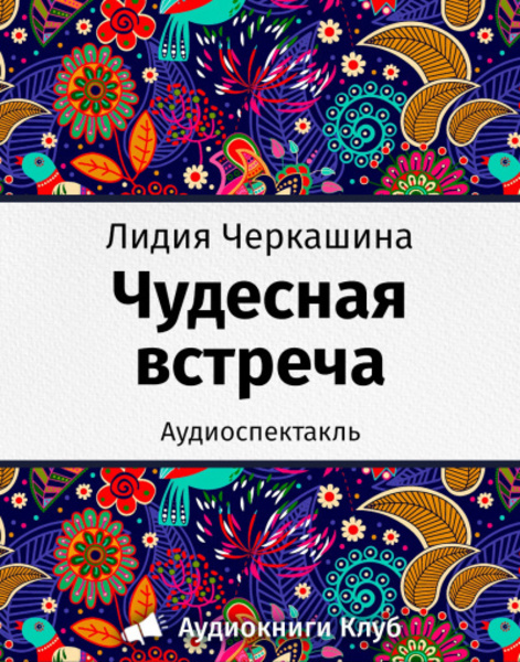 Чудесная встреча