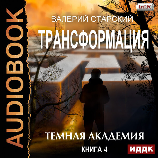 Трансформация. Книга 4. Темная академия