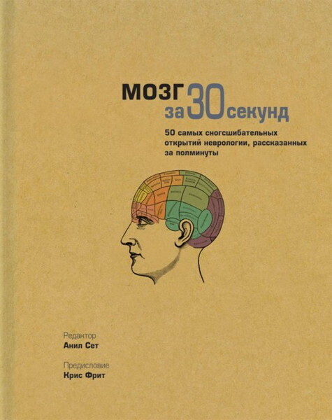 Мозг за 30 секунд